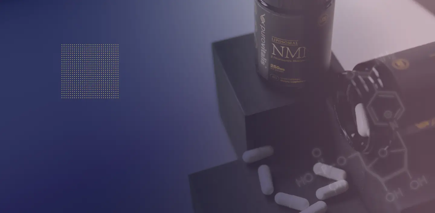 cuando tomar nmn y resveratrol, cual es el mejor momento para tomar resveratrol y nmn