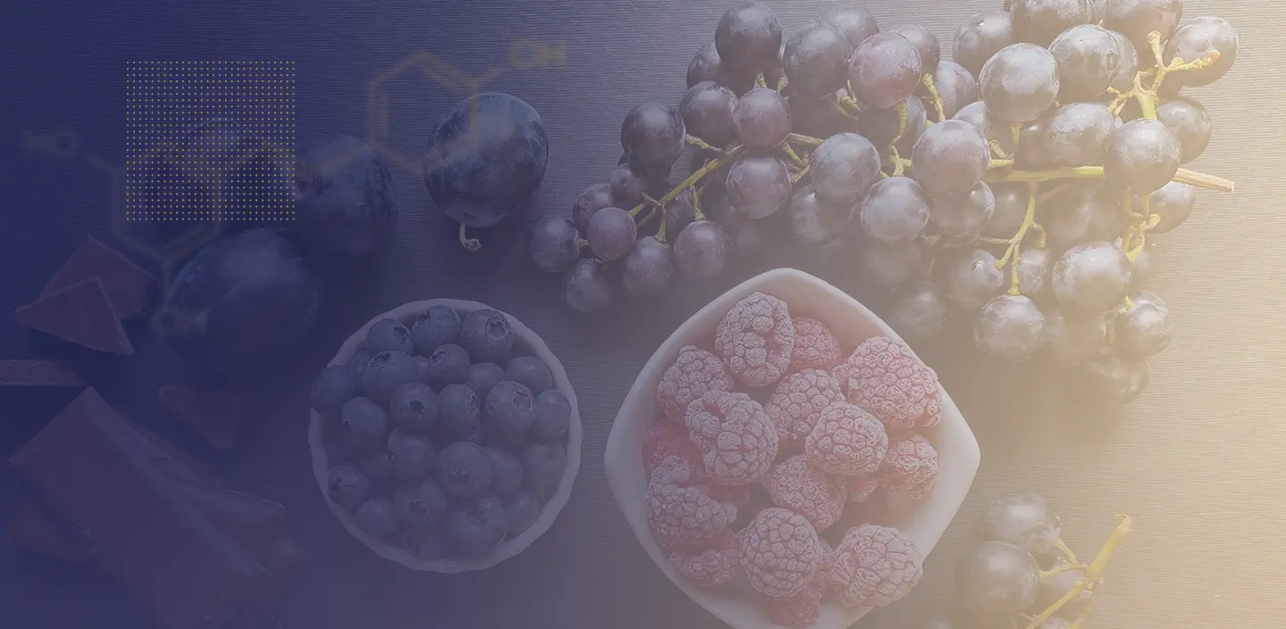 5 aliments à base de resvératrol à consommer en plus grande quantité